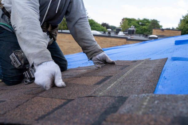 Best Emergency Roof Repair  in East Bronson, FL