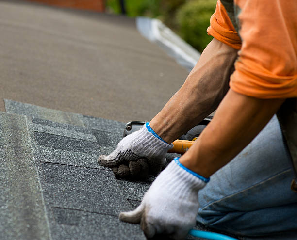 Best Roof Gutter Cleaning  in East Bronson, FL